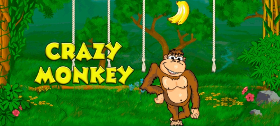 crazy monkey